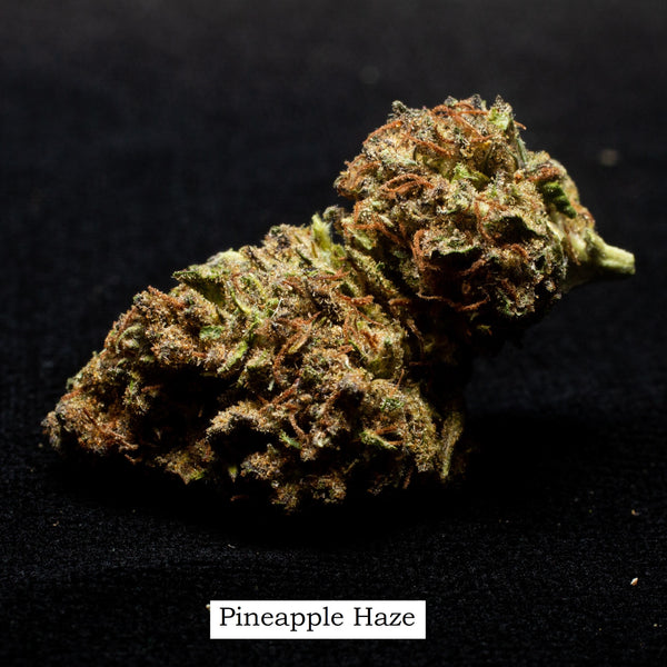 Complete Guide to Indica Hemp