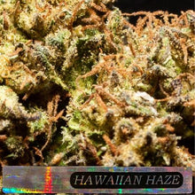 Load image into Gallery viewer, Hawaiian Haze Prerolls - Cali Vali CBD
